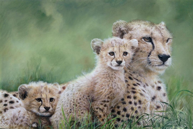 The Protector of Innocence -Cheetas  (26x38 inch)