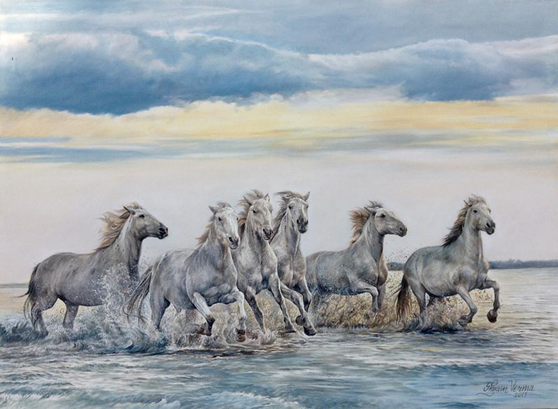 White Wonder - Six Horses  (52x38 inch)